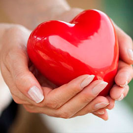 Сердце – главный орган тела и фантастический механизм